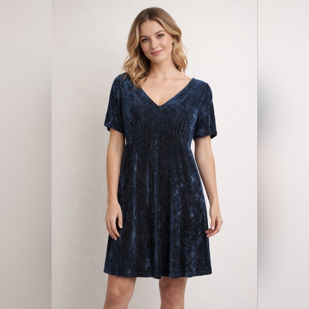 American Eagle Outfitters Midnight Velvet Dress